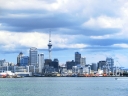 auckland (39)